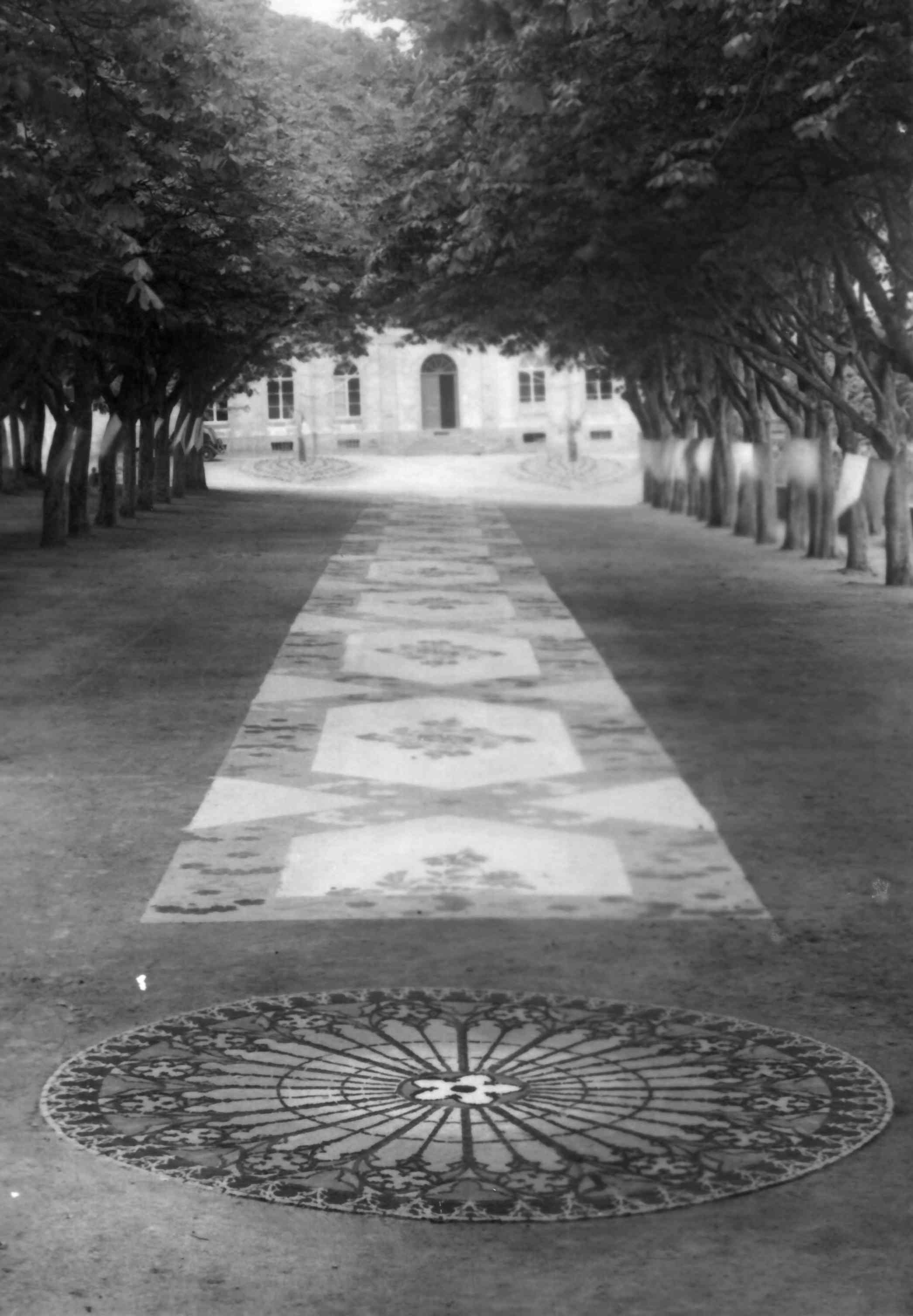 Tapis de sciure dans la grande alle (1946)