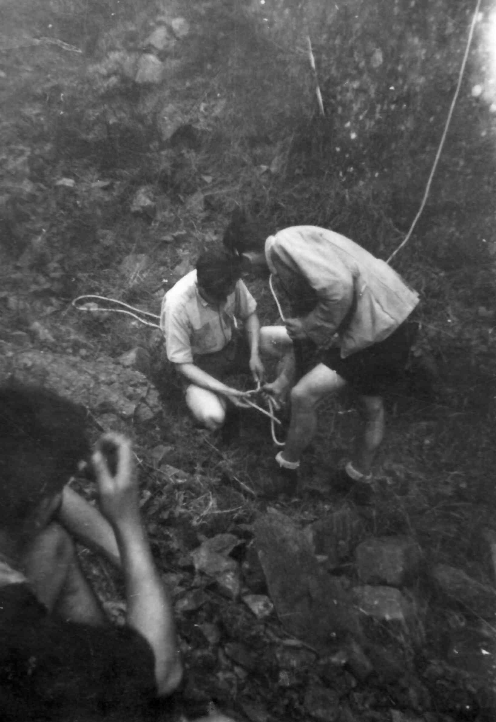 apprentissage des noeuds, en 1947 apprentissage des noeuds, en 1947